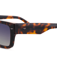 画像をギャラリービューアに読み込む, SPLQ87 540C10_05