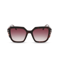 画像をギャラリービューアに読み込む, SPLR23 540752_01