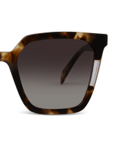 画像をギャラリービューアに読み込む, SPLD33 540728_06