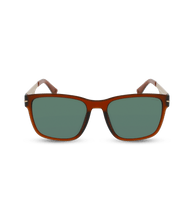 画像をギャラリービューアに読み込む, SPLL09 56W45M_01