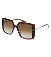 画像をギャラリービューアに読み込む, SPLL96 560AG9_02