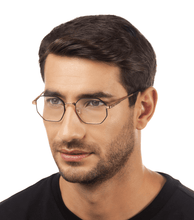 Load image into Gallery viewer, VPLE23 490H48_03