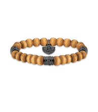 画像をギャラリービューアに読み込む, PEAGB2120114_02
