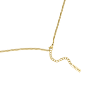 画像をギャラリービューアに読み込む, PEAGN0041302_03
