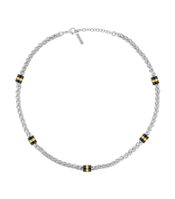 画像をギャラリービューアに読み込む, PEAGN0078202_01
