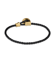 画像をギャラリービューアに読み込む, PEWJF0030401_06
