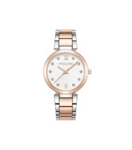 画像をギャラリービューアに読み込む, PEWLG2229240_01
