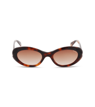 Load image into Gallery viewer, SPLR93 520752_01
